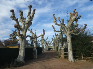 paysagiste roanne - paysagiste loire - entretien exterieur roanne - entretien jardins - architecte paysagiste france - paysagiste renaison