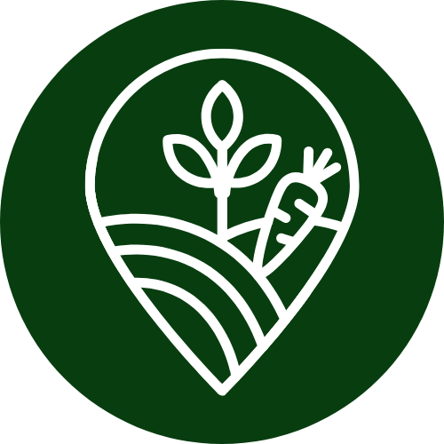 paysagiste roanne - paysagiste loire - entretien exterieur roanne - entretien jardins - architecte paysagiste roanne - paysagiste renaison