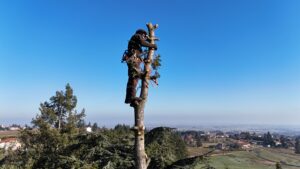 paysagiste roanne - paysagiste loire - entretien exterieur roanne - entretien jardins - architecte paysagiste france - paysagiste renaison