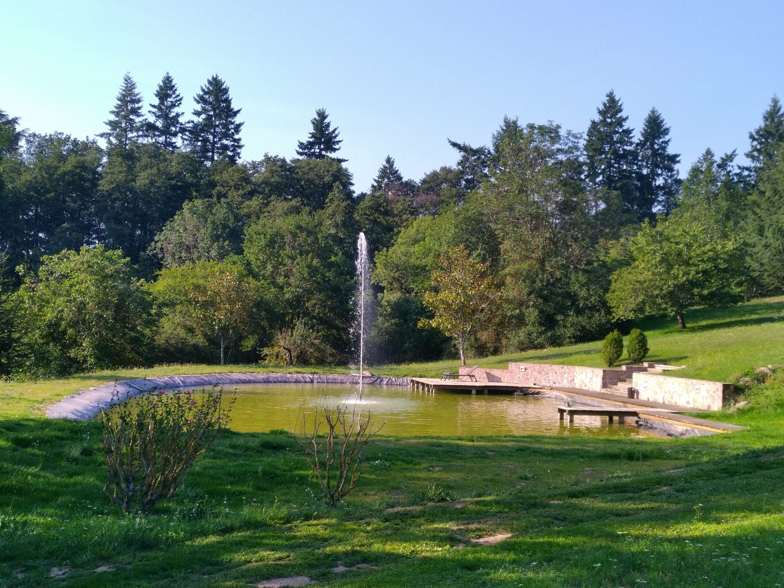 paysagiste roanne - paysagiste loire - entretien exterieur roanne - entretien jardins - architecte paysagiste roanne - paysagiste renaison