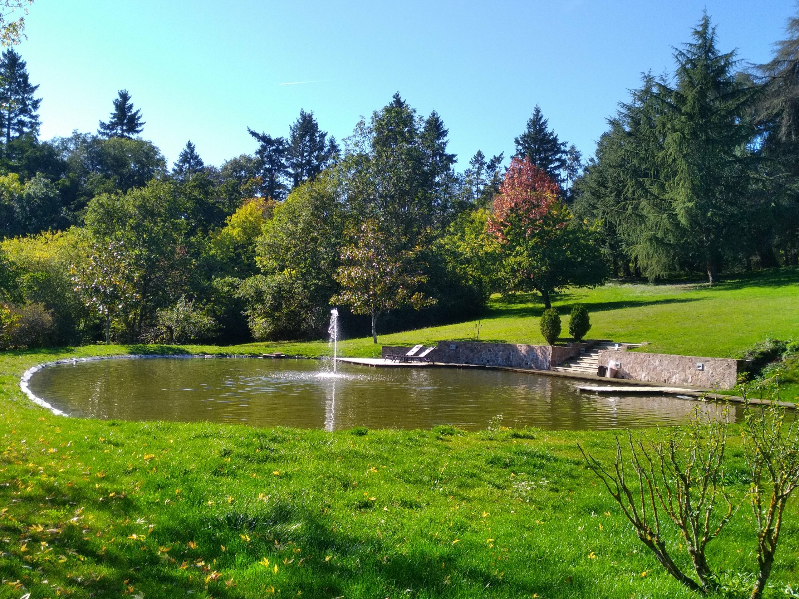 paysagiste roanne - paysagiste loire - entretien exterieur roanne - entretien jardins - architecte paysagiste roanne - paysagiste renaison